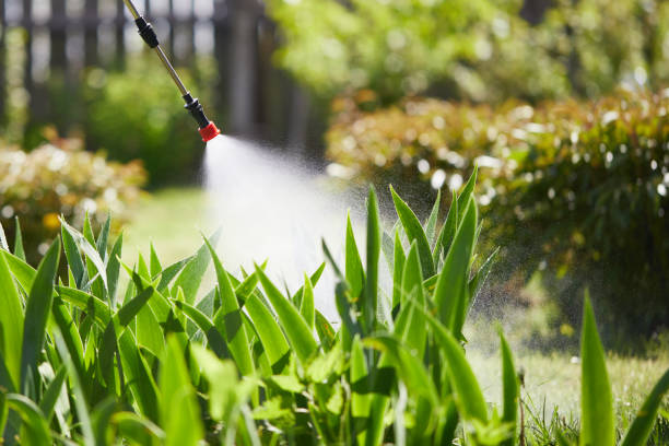 24/7 Emergency Ant Control experts in Fort Scott, KS
