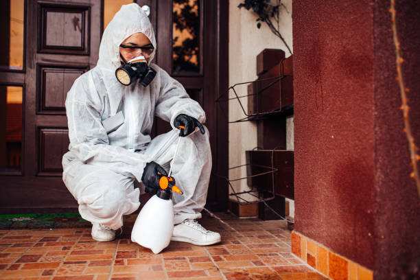 Reliable Ant Control contractor in Fort Scott, KS by Nex Pest Control