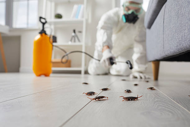Trusted Rodent Control service in Fort Scott, KS - Nex Pest Control